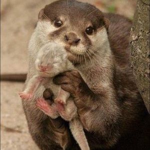 Meet your Posher, Jeanne